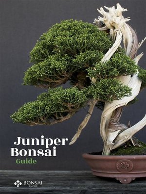 cover image of Juniper Bonsai Guide